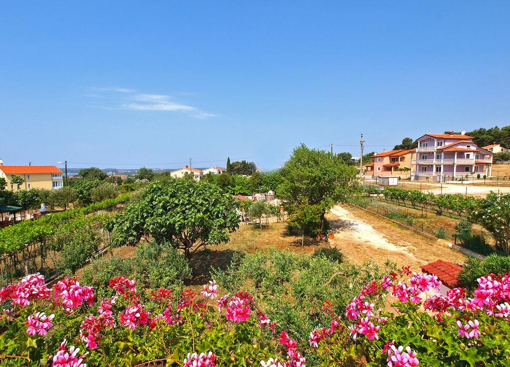 Apartment Vrcevan 895 Medulin Dış mekan fotoğraf
